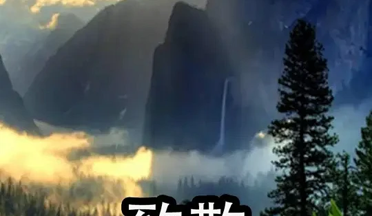 黑色克隆伦理